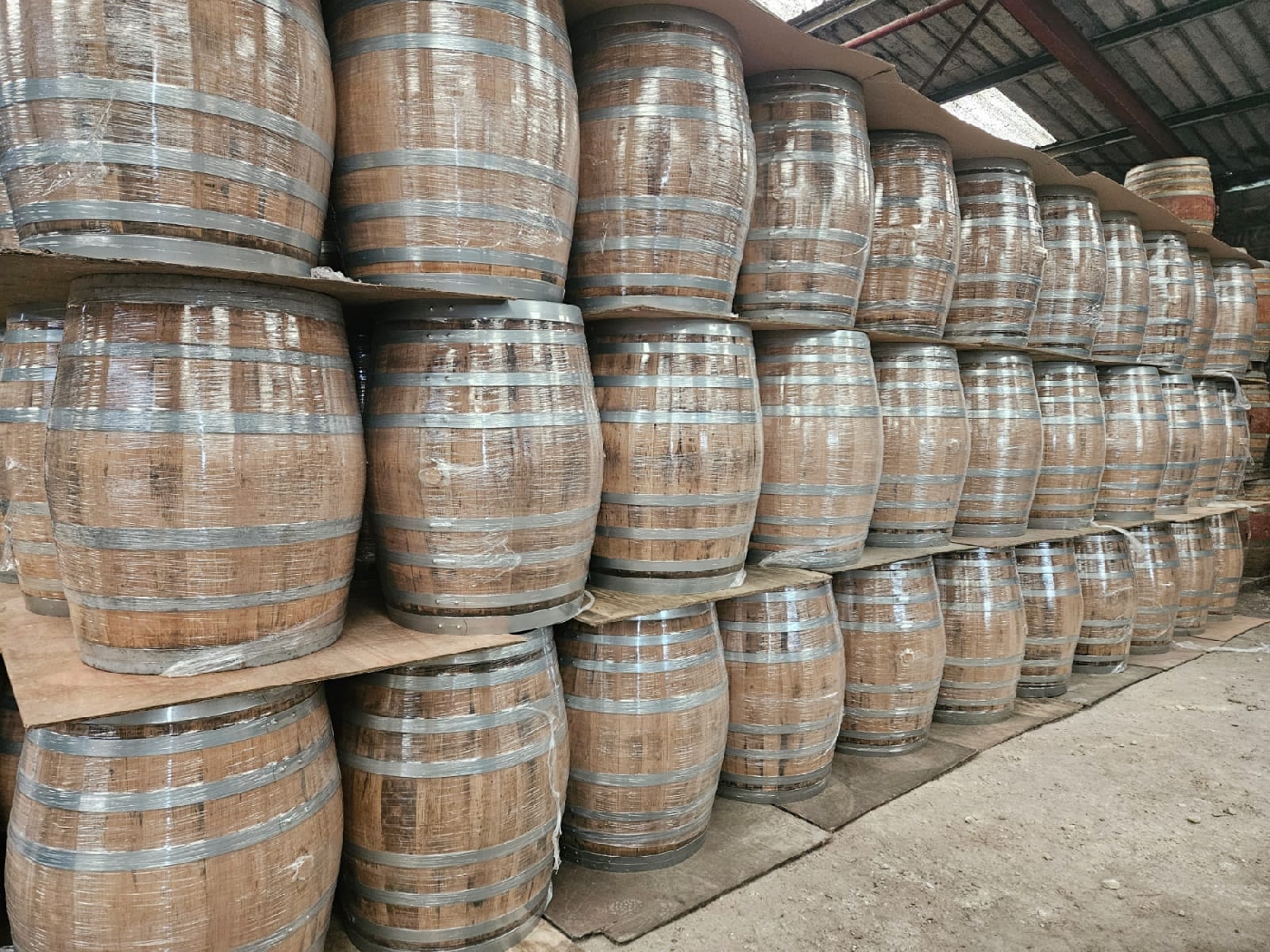 Nos futs cognac